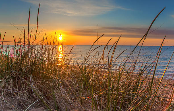 Beach Through grass